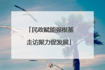 民政赋能强根基 走访聚力促发展