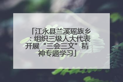 江永县兰溪瑶族乡：组织三级人大代表开展“三会三文”精神专题学习