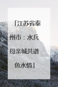 江苏省泰州市：水兵母亲城共谱鱼水情