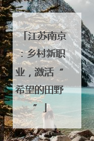 江苏南京：乡村新职业，激活“希望的田野”