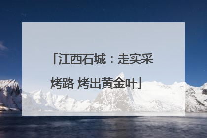 江西石城：走实采烤路 烤出黄金叶