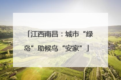 江西南昌：城市“绿岛”助候鸟“安家”