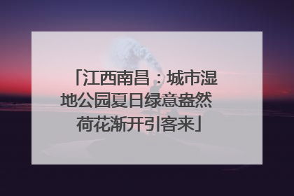 江西南昌：城市湿地公园夏日绿意盎然 荷花渐开引客来