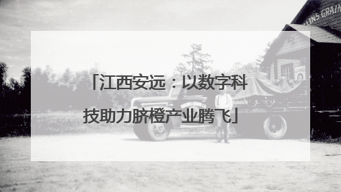 江西安远：以数字科技助力脐橙产业腾飞