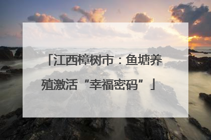 江西樟树市：鱼塘养殖激活“幸福密码”