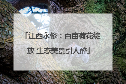 江西永修：百亩荷花绽放 生态美景引人醉