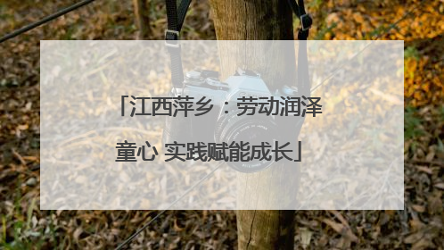 江西萍乡：劳动润泽童心 实践赋能成长