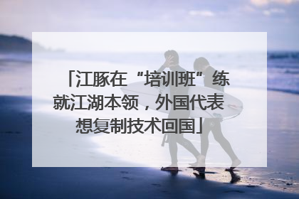 江豚在“培训班”练就江湖本领，外国代表想复制技术回国