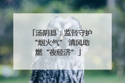 汤阴县：监督守护“烟火气” 清风助燃“夜经济”