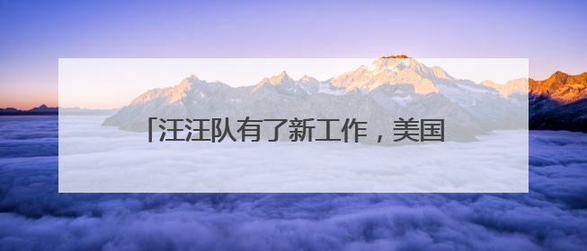 汪汪队有了新工作，美国一机场出动牧羊犬驱鸟