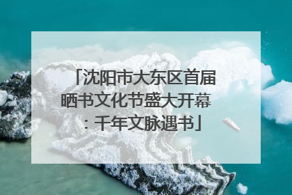沈阳市大东区首届晒书文化节盛大开幕：千年文脉遇书
