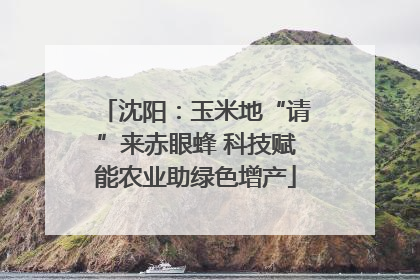 沈阳：玉米地“请”来赤眼蜂 科技赋能农业助绿色增产