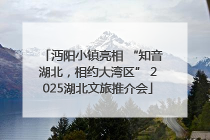沔阳小镇亮相 “知音湖北，相约大湾区” 2025湖北文旅推介会
