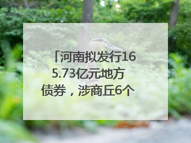 河南拟发行165.73亿元地方债券，涉商丘6个项目……