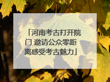 河南考古打开院门 邀请公众零距离感受考古魅力