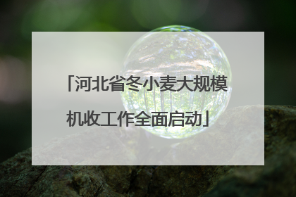 河北省冬小麦大规模机收工作全面启动