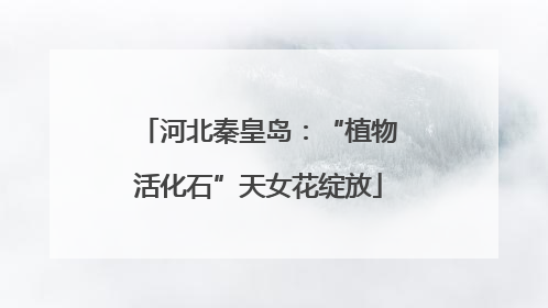 河北秦皇岛：“植物活化石”天女花绽放