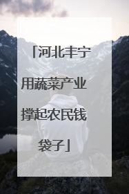 河北丰宁用蔬菜产业撑起农民钱袋子