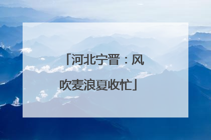 河北宁晋：风吹麦浪夏收忙