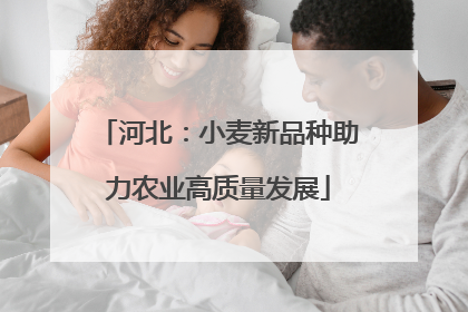 河北：小麦新品种助力农业高质量发展