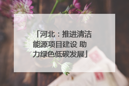 河北：推进清洁能源项目建设 助力绿色低碳发展