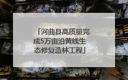 河曲县高质量完成5万亩沿黄线生态修复造林工程