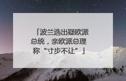 波兰选出疑欧派总统，亲欧派总理称“寸步不让”