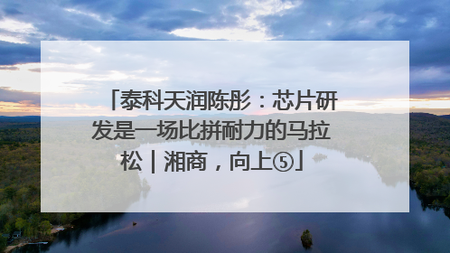 泰科天润陈彤：芯片研发是一场比拼耐力的马拉松｜湘商，向上⑤