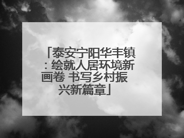 泰安宁阳华丰镇：绘就人居环境新画卷 书写乡村振兴新篇章