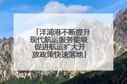 洋浦港不断提升现代航运服务能级 促进航运扩大开放政策快速落地