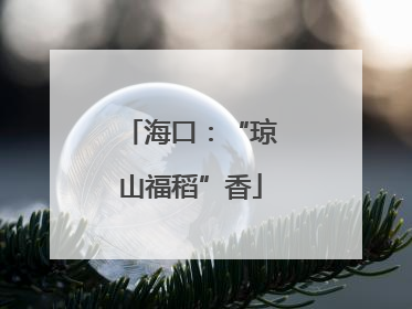 海口：“琼山福稻”香