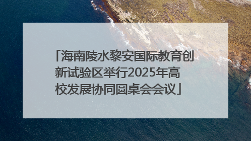 海南陵水黎安国际教育创新试验区举行2025年高校发展协同圆桌会会议