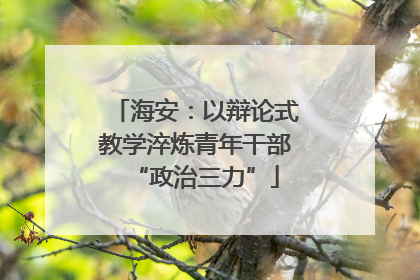 海安：以辩论式教学淬炼青年干部“政治三力”