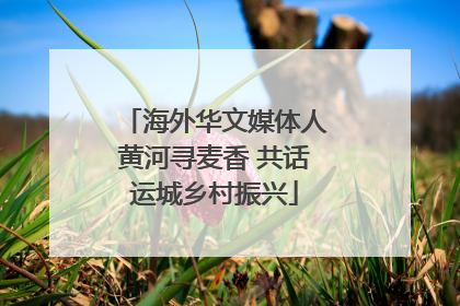 海外华文媒体人黄河寻麦香 共话运城乡村振兴