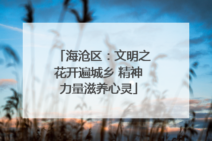 海沧区：文明之花开遍城乡 精神力量滋养心灵