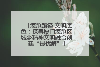 海沧路径 文明底色：探寻厦门海沧区城乡精神文明融合创建“最优解”