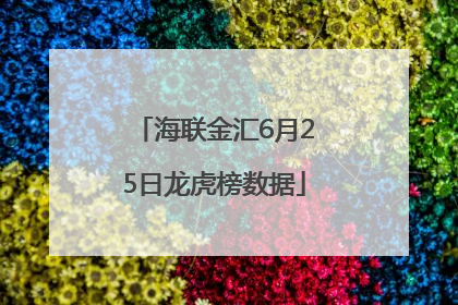海联金汇6月25日龙虎榜数据