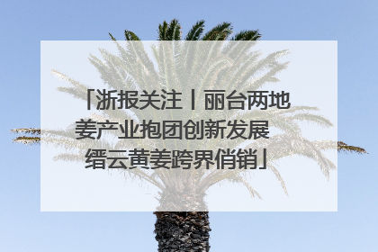 浙报关注丨丽台两地姜产业抱团创新发展 缙云黄姜跨界俏销