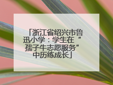 浙江省绍兴市鲁迅小学：学生在“孺子牛志愿服务”中历练成长