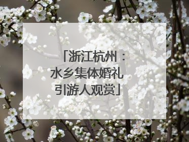 浙江杭州：水乡集体婚礼引游人观赏