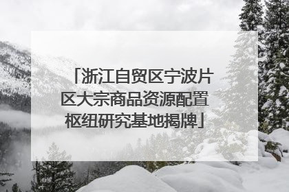 浙江自贸区宁波片区大宗商品资源配置枢纽研究基地揭牌