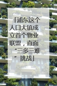 浦东这个人口大镇成立首个物业联盟，直面“三多三难”挑战