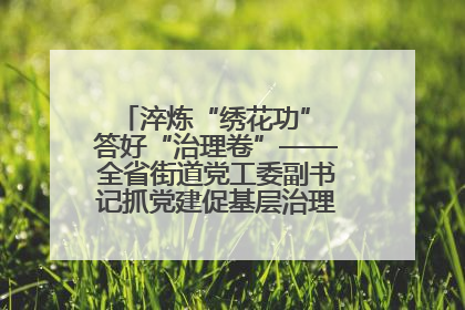 淬炼“绣花功” 答好“治理卷”——全省街道党工委副书记抓党建促基层治理培训示范班侧记