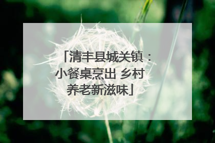 清丰县城关镇：小餐桌烹出 乡村养老新滋味