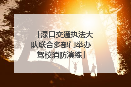 渌口交通执法大队联合多部门举办驾校消防演练