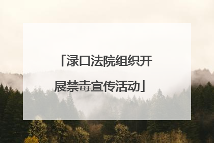 渌口法院组织开展禁毒宣传活动