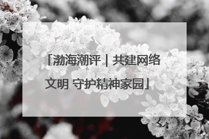 渤海潮评｜共建网络文明 守护精神家园