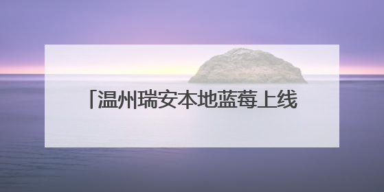 温州瑞安本地蓝莓上线咯！请听《90早新闻》20250524