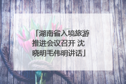 湖南省入境旅游推进会议召开 沈晓明毛伟明讲话