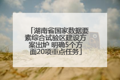 湖南省国家数据要素综合试验区建设方案出炉 明确5个方面20项重点任务
